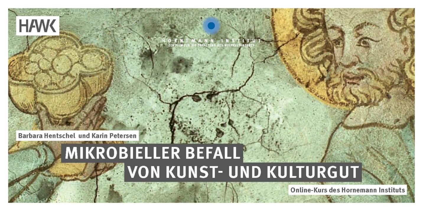 Online-Kurs Karte Mikrobieller Befall von Kunst- und Kulturgut